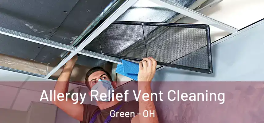 Allergy Relief Vent Cleaning Green - OH