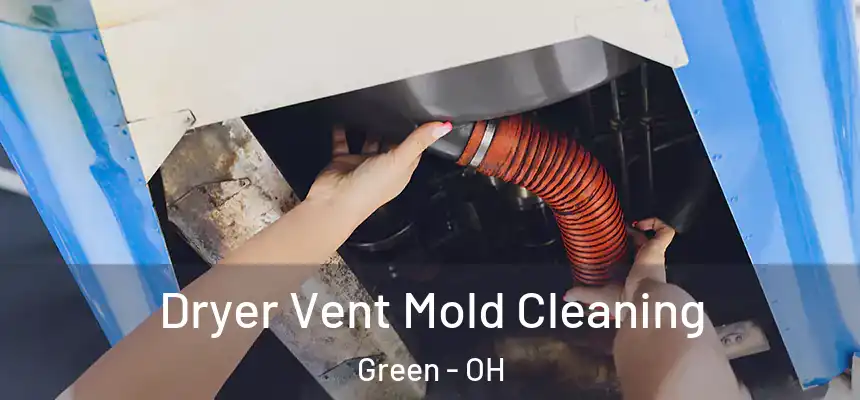  Dryer Vent Mold Cleaning Green - OH