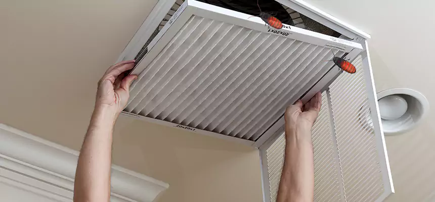 Preventive Cockroach-Proofing for Ducts in Green
