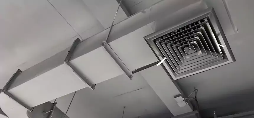 Restorative Allergy Relief Vent Cleaning – Coil, Blower & Housing Detail in Green