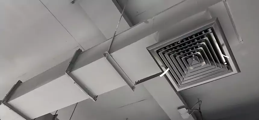 Our Rodent Droppings In Vents Services in Green, OH