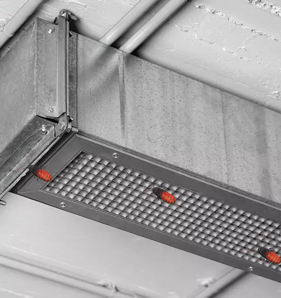 Affordable Insect Removal from Air Ducts in Green, OH