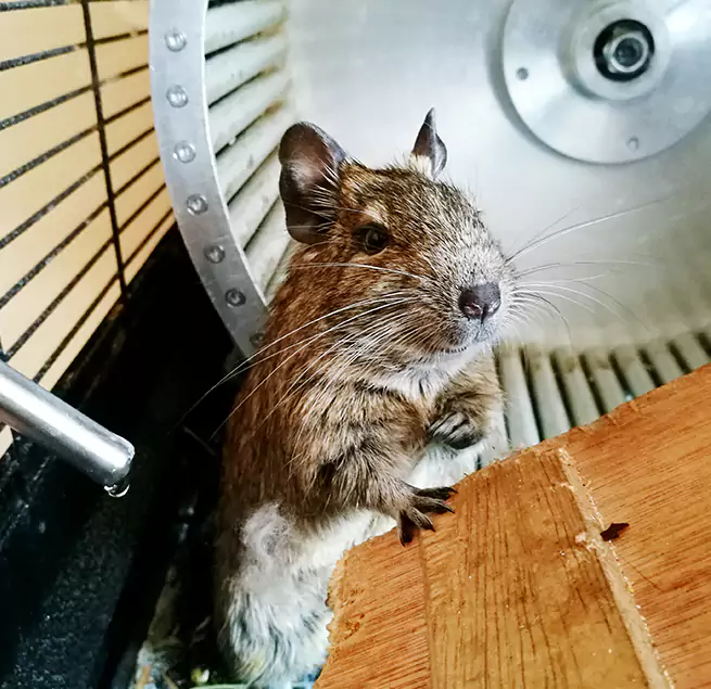 Why Homeowners & Businesses Trust Us Green, OH